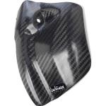 Leo Vince Carbon Fiber Left Engine Case Guard
