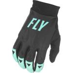 Fly Racing 2021 Evolution Gloves - DST LE