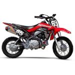 Throttle Syndicate 110 Graphic Kit - Fasthouse Dare Devil