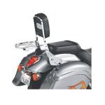 National Cycle Paladin Backrest, Luggage Rack, & Quickset Mount Combo