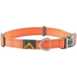 Browning Classic Hunger Orange Medium Dog Collar - Hunter Orange Medium