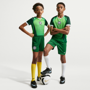 Nike Nigeria 2026 Stadium Home Big Kids' Nike Dri-FIT Soccer Replica Shorts in Green | IB5276-302 - $39.97 at Nike