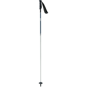 Swix Excalibur Recreational Ski Poles
