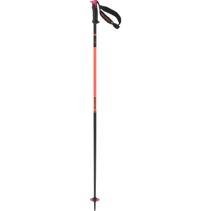 Salomon Salomon Polar Pro S3 Ski Poles - $69.95 at Sun & Ski Sports