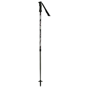 Swix Adjustable Ski Poles