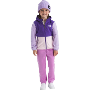 The North Face Little Kids' Glacier Full Zip Hoodie