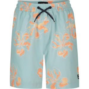 Billabong Billabong Boys' Sundays Layback Volley Swim Trunks - $27.85 at Sun & Ski Sports