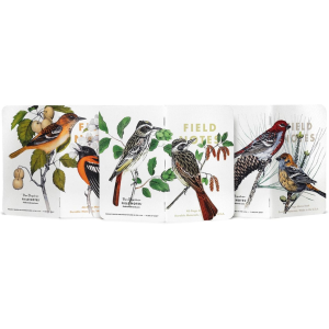 Field Notes Field Notes Field Notes Birds and Trees of North America Series B - $14.95 at Sun & Ski Sports