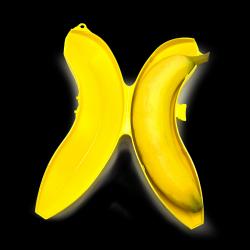 Protective Banana Case