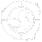 DVS Logo Splat Sticker - White