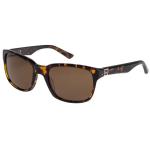 Quiksilver Carpark Sunglasses - Tortoise / Brown