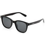 Carve Homeland Sunglasses - Black / Grey Polarized