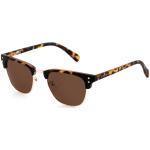 Carve Millennials Sunglasses - Brown Tort / Brown