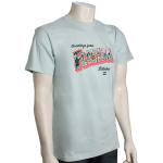 Billabong Greetings Florida T-Shirt - Costal Blue - XXL