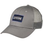 DaKine Big D Trucker Hat - Griffin