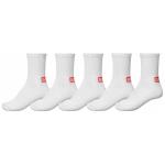Globe Minibar 5-Pack Crew Socks - White