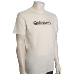 Quiksilver New Endings T-Shirt - Snow White - XXL