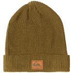 Quiksilver Performer Beanie - Four Leaf Clover