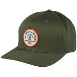 DC Badger 2 Snapback Hat - Ivy Green
