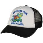 Quiksilver Boy's Birds Of Cray Trucker Hat - White