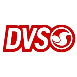 DVS Logo Sticker - Red