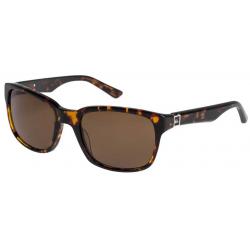 Quiksilver Carpark Sunglasses - Tortoise / Brown