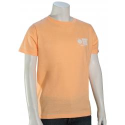 Salty Crew Boy's Alpha Flag T-Shirt - Coral - S