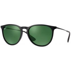 Ray-Ban 4171 Erika Sunglasses - Black / Green Classic G-15