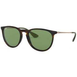 Ray-Ban 4171 Erika Sunglasses - Tortoise Bronze Copper / Green Classic
