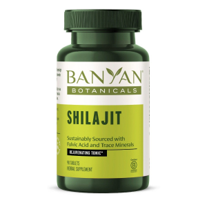 Shilajit tablets (bottle)