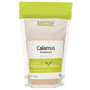 Calamus powder (bulk)