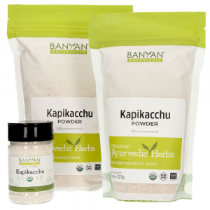 Kapikacchu powder (spice jar)