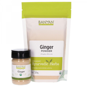 Ginger powder (spice jar)