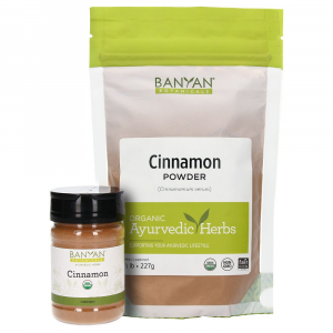 Cinnamon powder (spice jar)