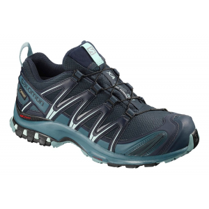 Womens Salomon XA Pro 3D GTX Trail Running Shoe(6)