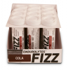 Hammer Nutrition Endurolytes Fizz 12 pack Drinks