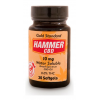 Hammer Nutrition Hammer CBD Hemp Extract 10 mg 30 count softgels Supplement