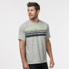 Mens Road Runner Sports Training Day Striped Short Sleeve Technical Tops