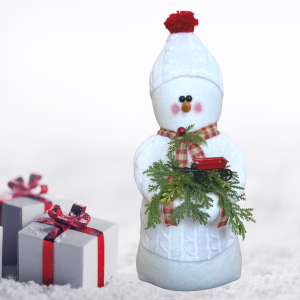 Image of Memories of Elaine - White Sweater with Red Tassel on Hat, Greens and Red Wagon