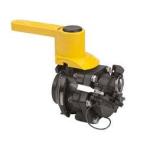 Banjo Poly Dry-Mate 2" Full Port Male x FPT NPT (DM220A)