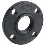 Banjo 1 1/2" Female Thread ANSI Flange 150# (AF150)