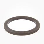 Banjo 3" FKM Gasket (300GV)