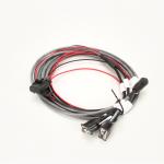 Raven CABL 15' INTRFC INVICTA 115PHX