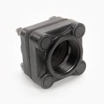 Banjo 2" Blind Hole Bolted Tank Flng