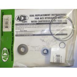 Ace Pumps Repair Kit for 300 Series -L Motor (41362)
