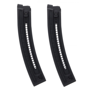  16 .22 LR 22-Round Magazine 2-Pack Ammo