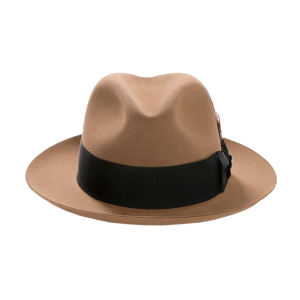 STETSON Temple Hat