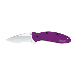 KERSHAW Scallion 2.4in Drop Point Purple Folding Knife (1620PUR)