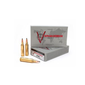 Nosler NOSLER Varmageddon .243 Win 55Gr FBT 20rd Box Rifle Ammo (65165) - $39.01 at GritrSports