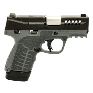 SAVAGE Stance XR Manual Safety 9mm Luger 3.2in 10rd/13rd Mags Gray Semi-Auto Pistol (67058)